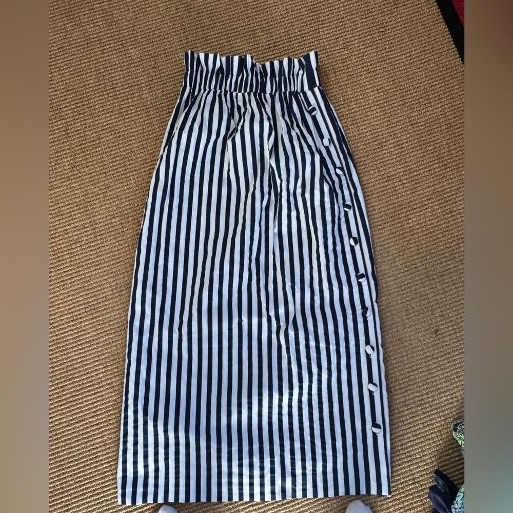 Navy & White Stripped Skirt (Tuckernuck)